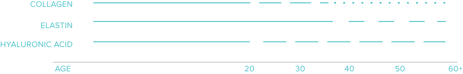 Diagram showing how skin ages over time