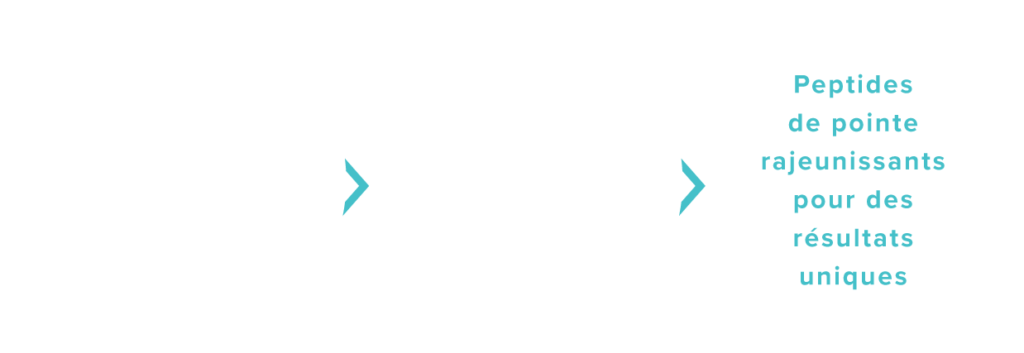 Recherche révolutionnaire > Centrée sur la fonction matricielle de la peau > Peptides de pointe rajeunissants pour des résultats uniques